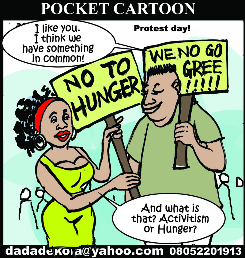 pocket-cartoon-thursday-1st-august-2024