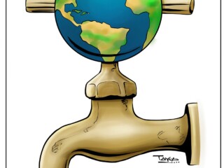 WhatsApp Image 2025-07-16 at 9