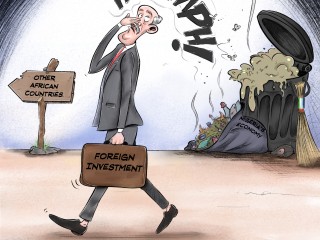 Foreign_Investment